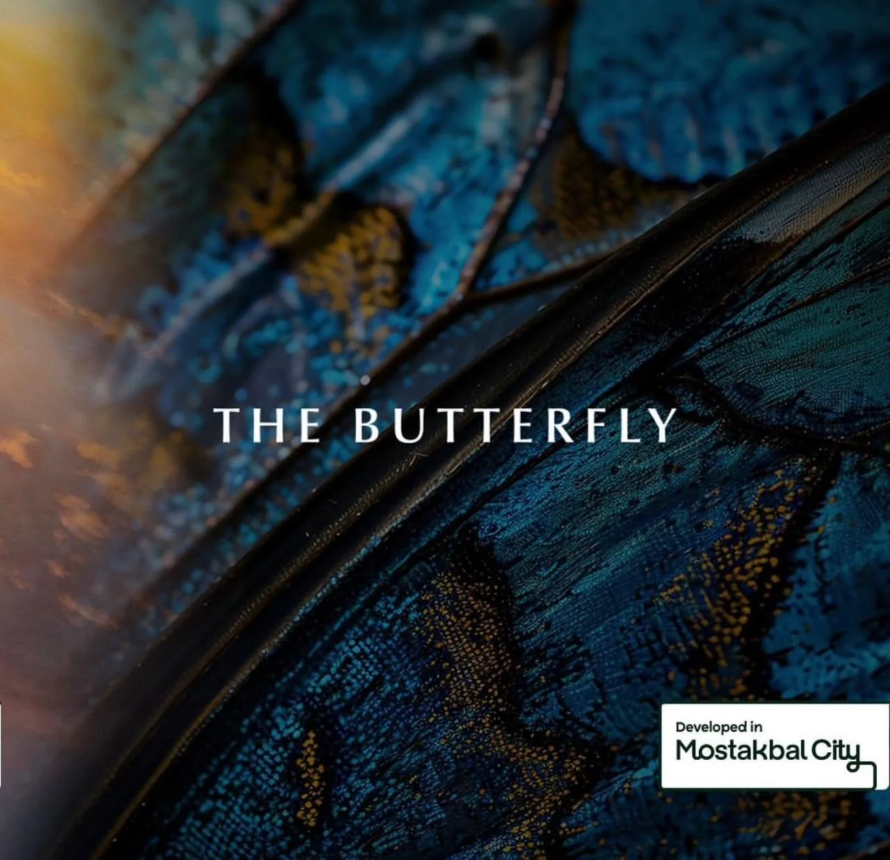 The Butterfly في مستقبل سيتي — صورة 3 من 4